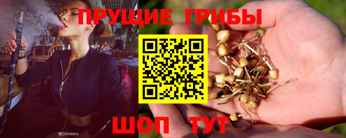 Галлюциногенные грибы ЛСД Белая Калитва