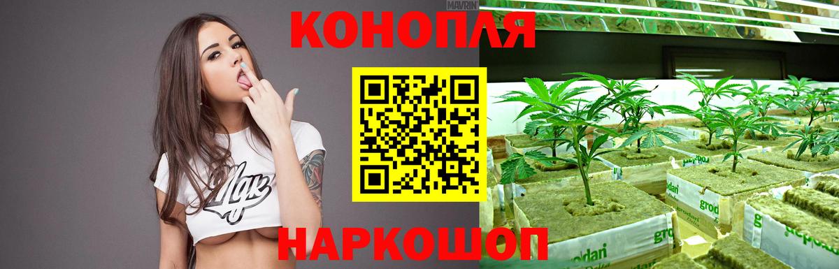 Бошки Шишки Ganja  Конопля VHQ  Канабис планчик  Белая Калитва  Вход с VPN 